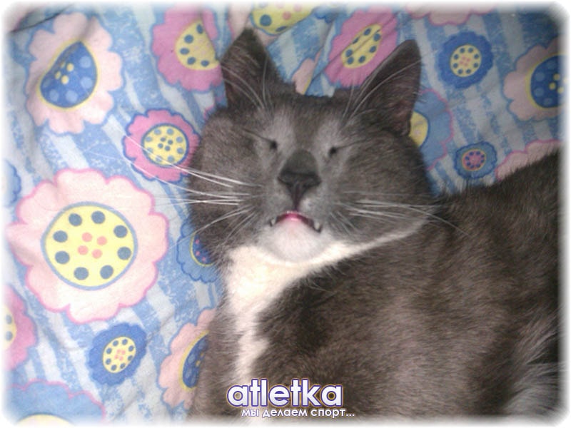 mulat-atletka-min