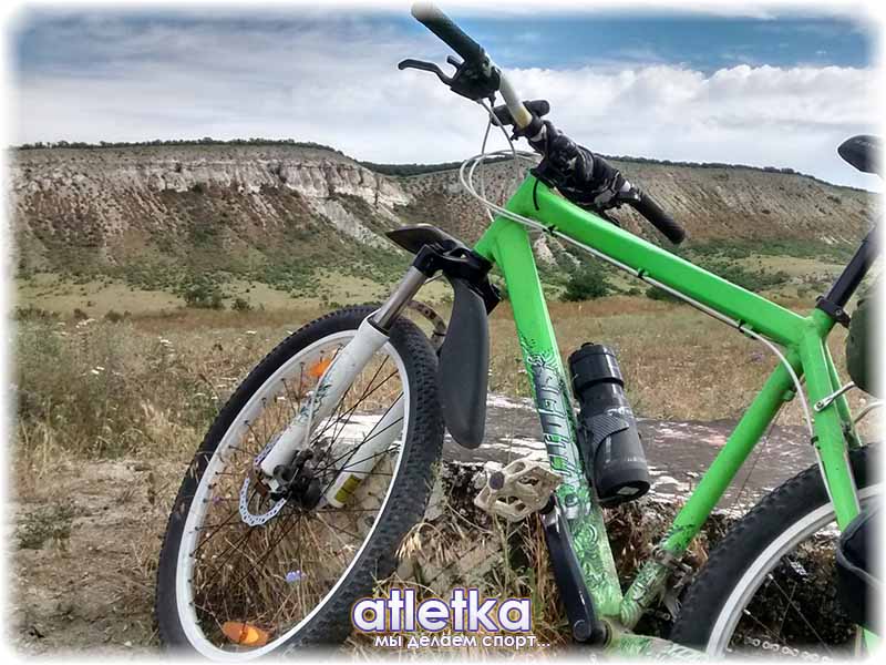 цепной пес цепной на фоне гор
