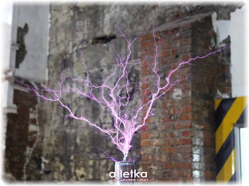 yarmarka-maikerov-2017-tesla-min